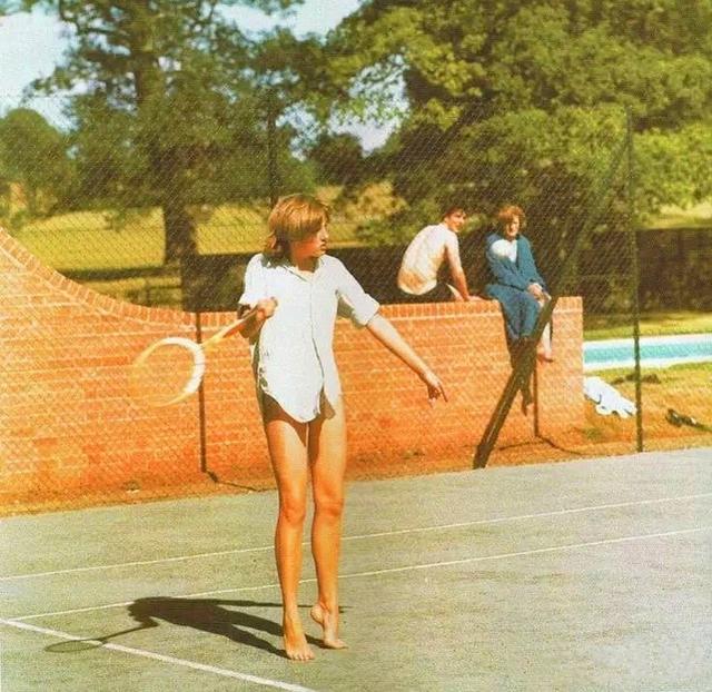 球迷和专业 球迷和专业